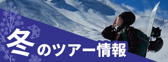 冬のツアー情報