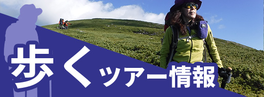 歩くツアー情報